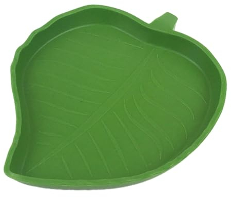 Sharplace 5X Reptilien Futternapf, Wassernapf, Dekorationen mit Glatter Oberfläche, Futternapf, Reptiliennapf für Schlangenhamster, Gecko, Bartagamen