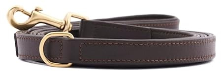 William Walker Leder Hundeleine braun – 3-Fach verstellbar (S-XXL) | 230 cm Länge| 2 cm Breite | Für mittelgroße & große Hunde | Rindsleder & Messing | Handarbeit & pflegeleicht