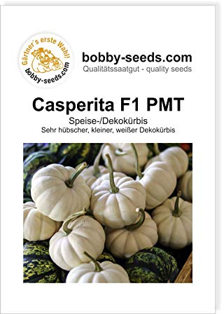 Kürbissamen Casperita F1 PMT Portion