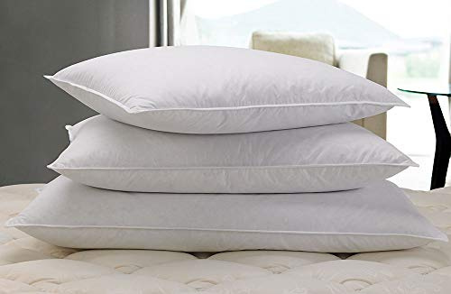 Courtyard by Marriott Feather & Down Pillow - Soft, Dual Chamber Feather and Down Pillow Exclusively for Courtyard - Queen (20 x 30)