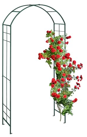 Relaxdays Arco de Jardín Metálico, Tutor Enredaderas y Rosas, 224 x 110 x 41 cm, Soporte Trepadoras, Resistente, Verde, Hierro