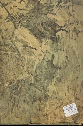 Carta Noccia per Presepe, Terra Modellabile, Sfondo Presepi, Montagna Roccia, Prodotto Made in Italy, 100 cm x 70 cm, Confezione da 6 Pezzi