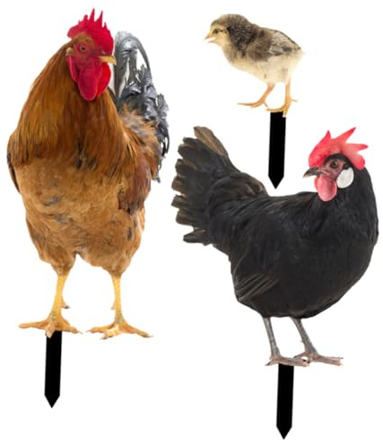 DIYEAH Piquet Décoratif Jardin Forme Poule Coq Poulette Accessoire Extérieur Stable pour Pelouse Cour et Allée Ambiance Champêtre et Festive