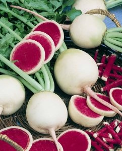 Radish Watermelon 500 Seeds