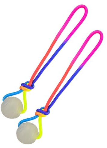 Whnbuij Palla per cani – 2 pezzi luminosi giocattoli per la cura dei denti | con corda palla da gioco per cani di piccola taglia media e grande razza per cuccioli, gioco interno, stimolazione mentale