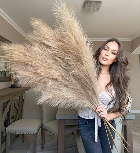 VOULUX Hierba artificial de pampa artificial de imitación extra grande, grande, esponjosa, 18 tallos de 115 cm, flores marrones altas, hierba de pampa larga