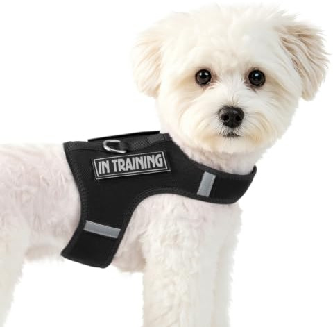Harnais pour Chiots de Petite Taille, Taille réglable + 2 Bandes Velcro