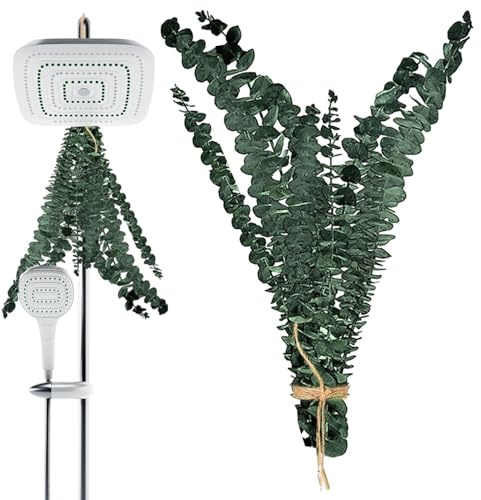 Genérico Ramos de Eucalipto para Ducha, 10 Tallos de Eucalipto Seco Arreglo Floral, Arreglos Secos Centro de Mesa Decorativo para Salón Casa SPA Florería Hogar Sala de Estar Natural