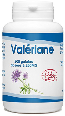 Valériane extrait racine Biologique | 750 mg/jour | Valeriana officinalis | Certifié Ecocert | 200 Gélules