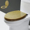 WC Sitz Glitzer Toilettensitz Aus Kunstharz, Toilettendeckel Mit Absenkautomatik, Universal Toilettensitz 42 X 36 cm, Einfache Montage WC Deckel Klobrille,Gold
