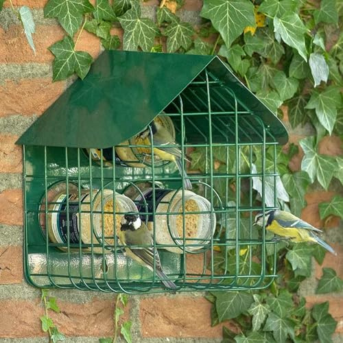 CJ Wildlife Bird Feeder for Peanut Butter – Wild Bird Feeder – Metal Green with Guard – Holds 3 Jars – Protects Smaller Birds from Larger Birds and Squirrels