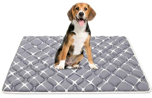 Bubble bear Dog Crate Pad - Ultra Soft, Washable Crate Mat, Anti-Slip Kennel Pad for Small/Medium/Large Dogs, Dark-Hued to Hide Stains (36x23)
