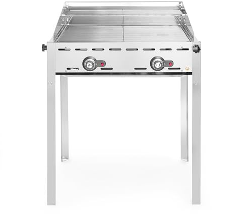 HENDI Parilla de gas de 2 quemadores, Green Fire, incl. cortavientos, 2 rejillas de asador GN 1/1 de acero inoxidable, grill, barbacoa, uso exterior, 740x612x(H)825mm, 11,6kW, acero inoxidable