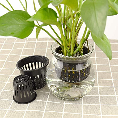 10pcs Heavy Duty Hydroponic Plantation Mesh Pot Net Panier en Plastique Jardin Plante Cultiver Plante Cultiver Clone Jardinage Utilisation(Noir)