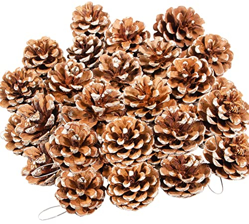 24PCS Christmas Natural Pine Cones,Rustic Pinecones with String for Crafts & Decorating Winter Xmax Holidays Vase and Table Bowl Fillers(Dia. 1.57-1.96 Inches)