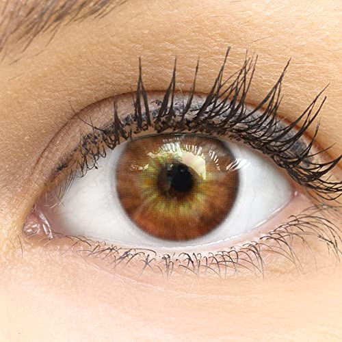 Glamlens lentilles de couleur marron naturelles colorées très haute opacité Cagliari Brown + étuis à lentilles de contact - 1 paire (2 pièces) - 90 Jours - sans correction - 0,00 Dioptries