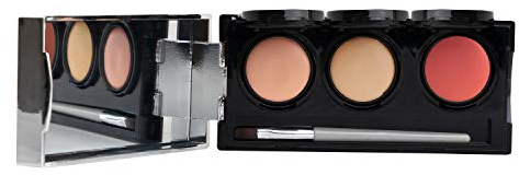 Dermaflage Tattoo Cover Up Makeup, Waterproof Concealer Palette - Light
