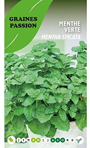 Graines Passion sachet de graines Menthe verte