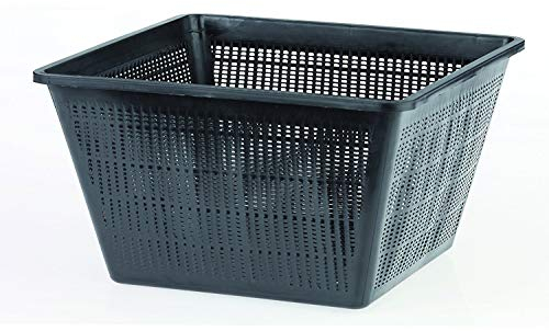 Oase Vaso CESTELLO Quadrato per Piante ACQUATICHE 23CM LAGHETTO Giardino