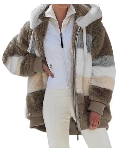 VDDTAGAM Manteaux Polaire Zippée pour Femme Mode en Peluche à Capuche Épaissir Blouson Chaud Hiver Décontractée Doux Ample Veste Manche Longue Cardigan Casual Bloc de Couleur Mode Hiver Outerwear