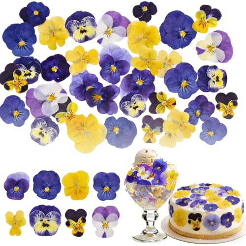 40 pièces 8 sortes de fleurs séchées naturelles comestibles pour décoration de gâteau - Mélange de Viola Tricolor pour décoration de cupcakes, cocktails, fabrication de bijoux en résine, loisirs