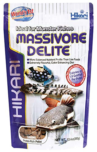 Hikari Tropical Massivore Delite Fish Food, 13.4 oz (380g)