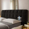 DOSYCOVUR Kopfteilbezug Kopfstützen für King Size Bett Einzelbett Kopfteil Super King Size Kopfteil Waschbar Veloursmaterial Elastisch Schutzbezug Inklusive,Schwarz,170cm