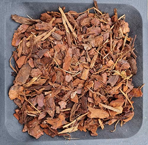 AlmaStore Corteccia di Pino per Orchidee Pine Bark | Pezzatura: Fine (10-25 mm), Grossa (25-40 mm) | 3 Litri, 5 Litri, 10 Litri | per la Pacciamatura e la Decorazione (Fine 10-25 mm, 5 Litri)