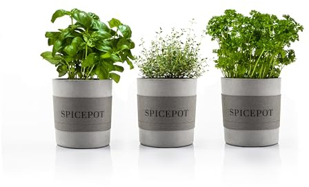 Pot à Herbes Aromatiques Set spicepot de urbanature, 3 pots en béton, pour herbes fraîches et des plantes, pour tous les pots de culture jusqu'à 13 cm de diamètre, avec système d'arrosage