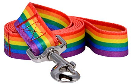 Native Pup Rainbow Flag Gay Pride LBGTQ Dog Leash 5 Ft (Rainbow)