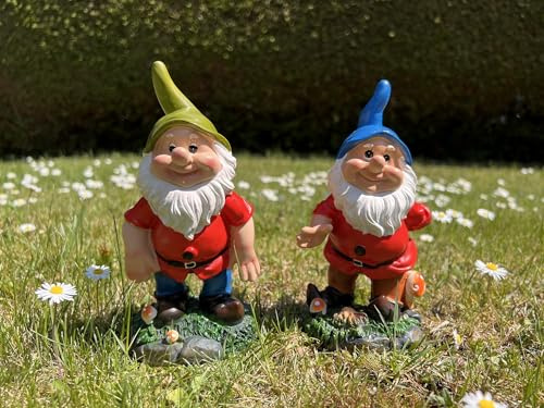Geschenk-Himmel 2er Set Gartenzwerge Zwerg Zwerge GNOME, Blauer und grüner Mütze (blau-grün)