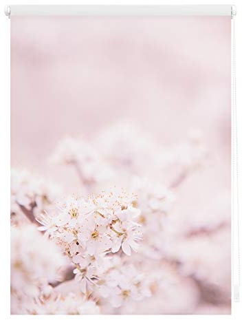 Lichtblick Klemmfix Verdunklungs-Rollo mit Motiv, ohne Bohren, Blickdicht, Seitenzugrollo, Made in Germany, Kirschblüten - Rosa Weiß 120 x 150 cm