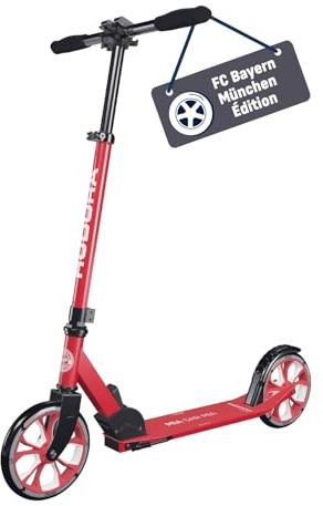 HUDORA BigWheel® 205 Advanced Scooter - Komfortabler Aluminium-Roller für bis zu 100kg - Höhenverstellbarer & zusammenklappbarer Tretroller - Kick-Scooter für Kinder/Jugendliche & Erwachsene