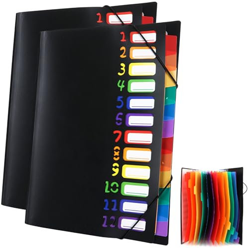 2 Stück Dokumentenmappe A4, Sortiermappe A4 Tragbar Fächermappe mit 13 Fächern, PP Kunststoff Ordnungsmappe Pultordner mit Gummizug, Wasserdicht, für Schule Bürobedarf Schwarz