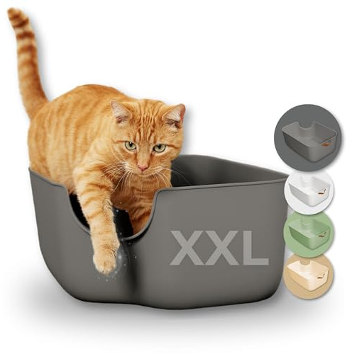 PiuPet® Katzentoilette XXL - Moderne Toilette für Katzen - Katzenklo groß mit hohen Wänden - großes Katzenklo - Offenes Katzenklo | Katzentoiletten | Katzen Klo | Katzenklo XXL (Grau)