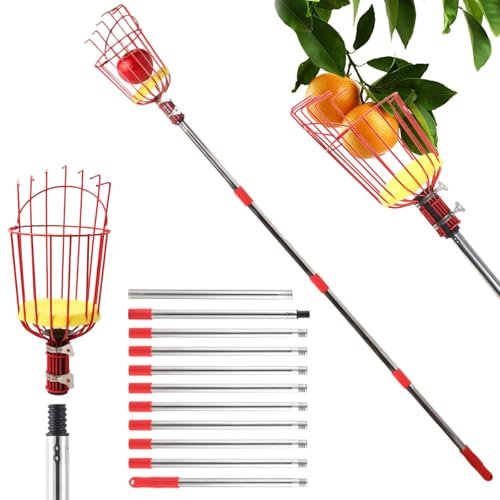 Recogedor de Frutas Telescópico, 2,6m Palo Extensible Recoge Frutas con Cesta - Acero Inoxidable Mango Telescópico Frutas Herramientas Recolectoras, para Recoger Manzanas, Naranjas (2,6m)