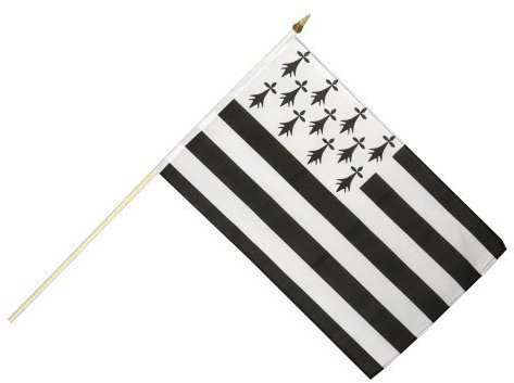 Digni® Drapeau France Bretagne sur hampe