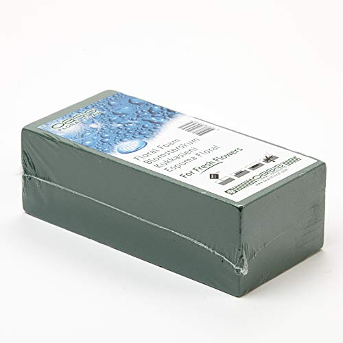 OASIS Floral Foam Brick