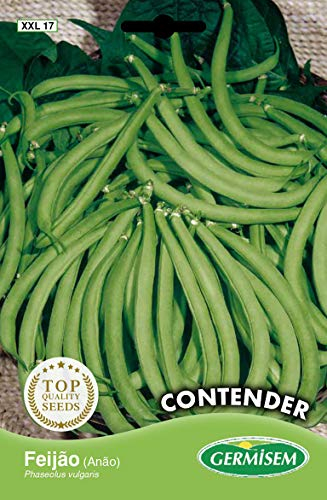 Germisem Contender Graines de Haricots Français 100 g XXL 17 Multicolore