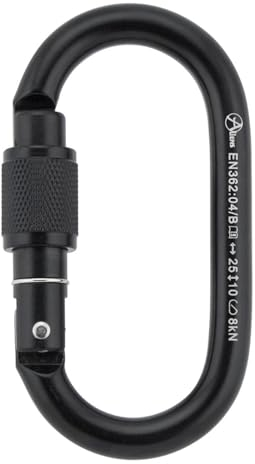 ALIENS Total Oval Stahlkarabiner schwarz, Variante:Screw