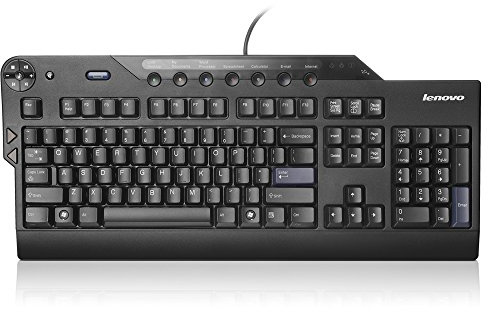 Lenovo 73P2620 - Teclado (USB, QWERTY, PC/Server, Negro, 1,8m, 465 x 200 x 38 mm)