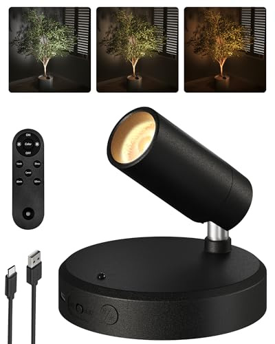 EZVALO Foco LED Inalámbrico, Aplique de 5500 mAh con Mando a Distancia y Temporizador, 3 Temperaturas de Color, Ideal para Iluminar Dormitorios, Cuadros y Plantas de Interior (1 Pieza, Negro)