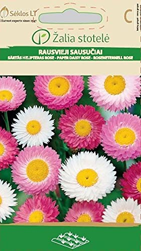 Seklos LT | AILES DU SOLEIL | Graines de fleurs | Idéal pour le bouquet frais | Plante annuelle | Planter des graines | 1 paquet