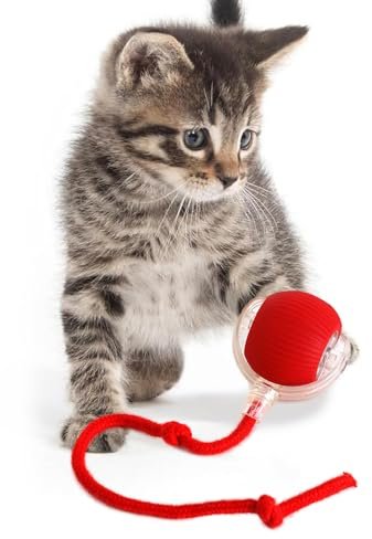 KQLHLHDYZ Jouet Interactif pour Chat d'Intérieur - Balle Intelligente avec Détecteur de Mouvement