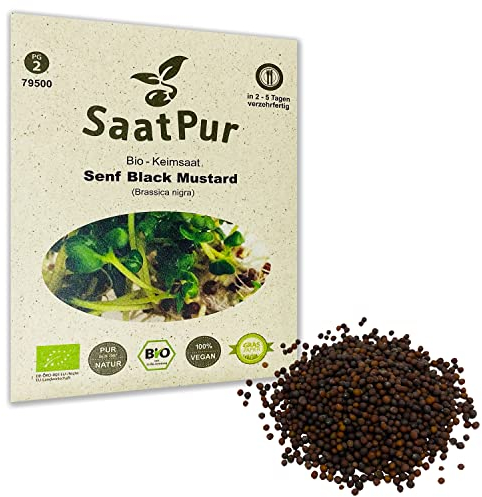 SaatPur Organic Germination Sprouts - Mustard Black Mustard - Microgreens - 30g