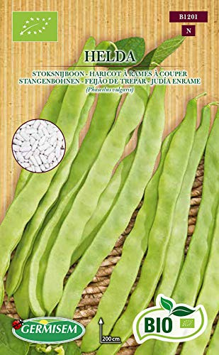 Germisem Biologico Helda Semi di Fagiolo Rampicante 80 g