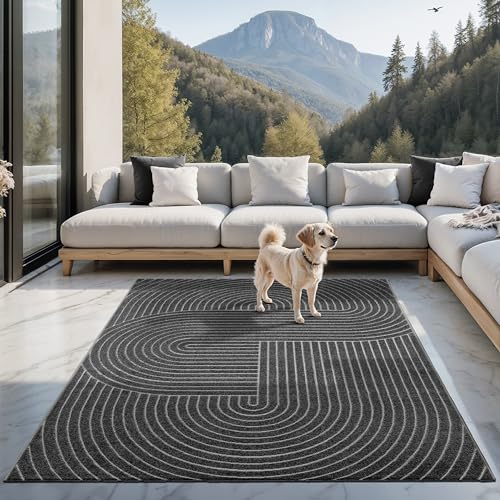 the carpet Santo Plus - Teppich für Wohnzimmer & Schlafzimmer, Hochwertig, Pflegeleicht & Langlebig, Modernes Design, auch für Outdoor geeignet, Anthrazit, 140 x 200 cm