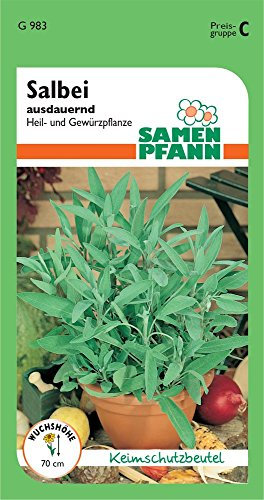 Samen Pfann G983 Salbei (Salbeisamen)