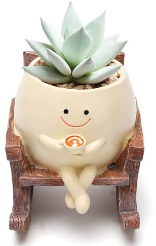 RANJIMA Vasi da fiori sospesi con viso a dondolo, vaso da fiori a dondolo. Incantevoli vasi in resina, vasi a dondolo per piante grasse con foro di scarico. Divertente vaso per piante da giardino