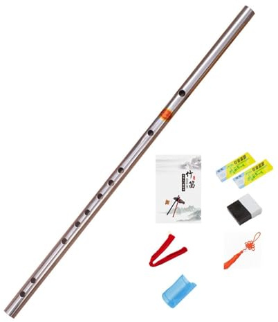 KANLVU Blockflöjt Instrument Sats Rostfritt Stål Blockflöte Med Instruktionsbok Väska, För Nybörjare, Barn Vuxna, Skolelever Sopraninspelare(G key)